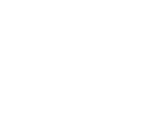 logo_grupocarone